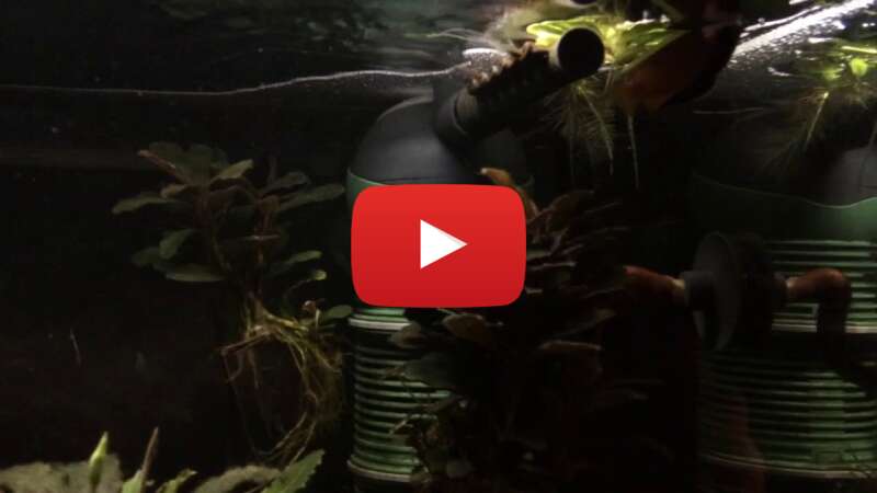 Video yBwwgOzDc3c abspielen