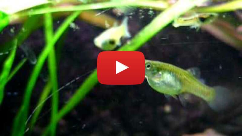 Video yUcG-BUKVTQ abspielen