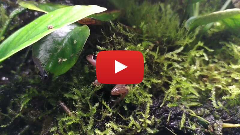 Video ysqvOsKJkVk abspielen