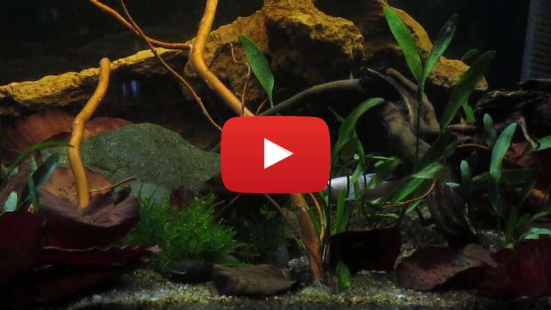 Video ze--rs18_ao abspielen