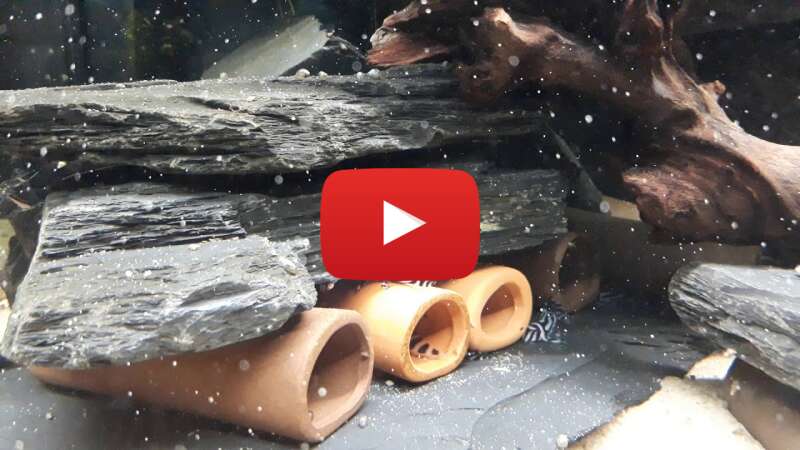 Video zhv1ZqUtBfk abspielen