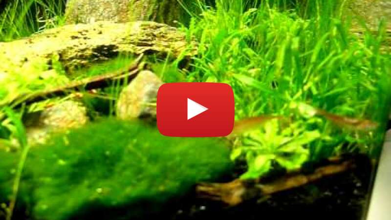 Video zrRtyT8qWl0 abspielen