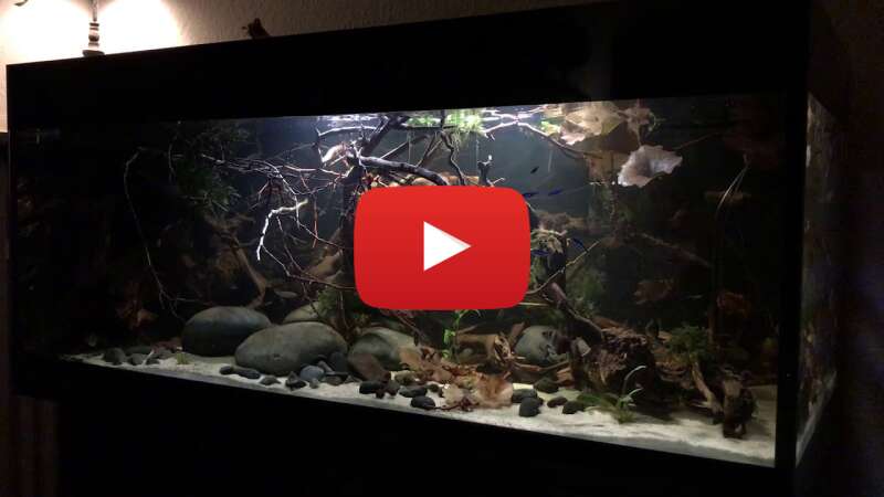 Video zsXr947ApsU abspielen