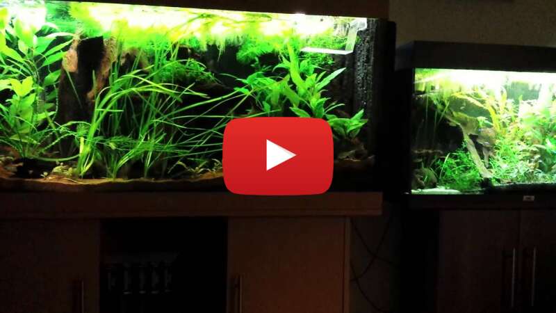 Video zzCllFmHRAc abspielen