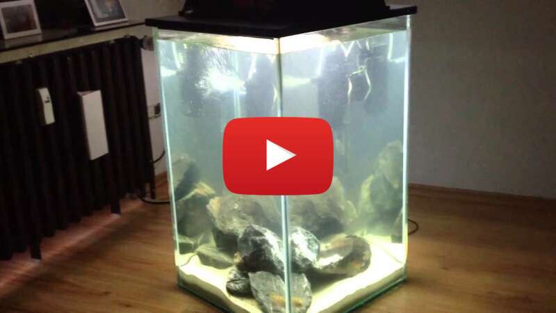 Video zzF2iPwqzDs abspielen